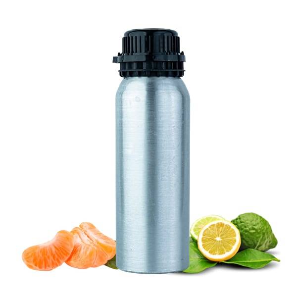 Prada Paradoxe Prada