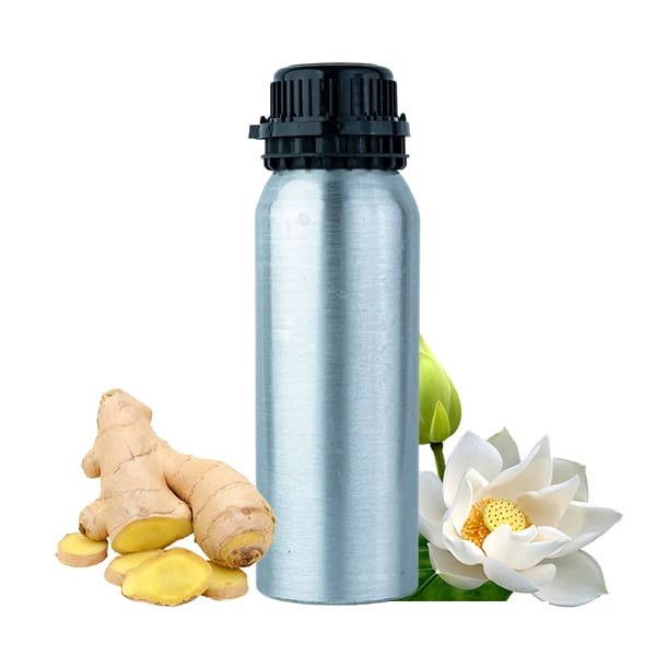 Ralph Lauren Ralph Ralph Lauren Ralph